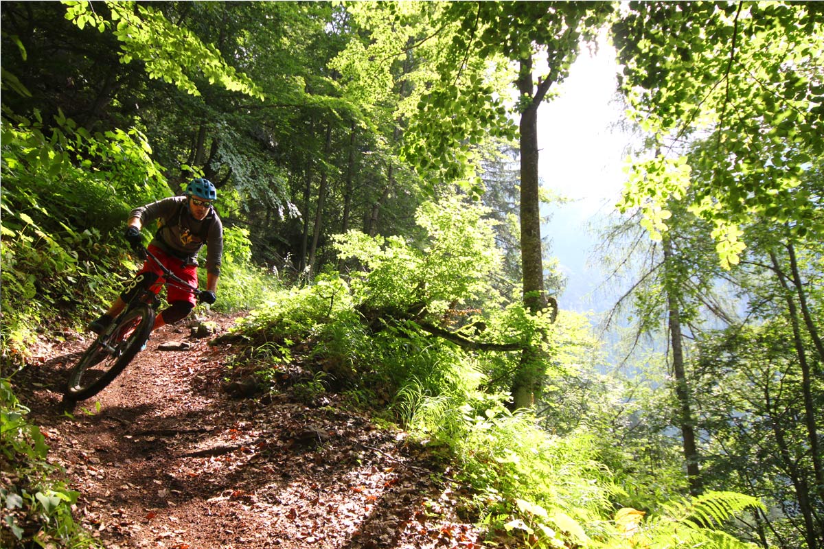 Zugtrails Vinschgau